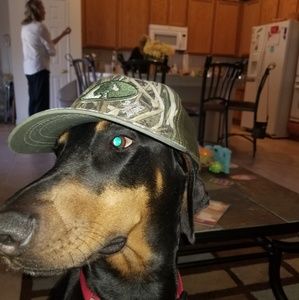 Meet your Posher, Blane